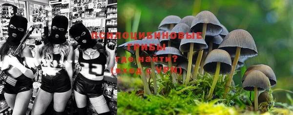 mdma Осинники