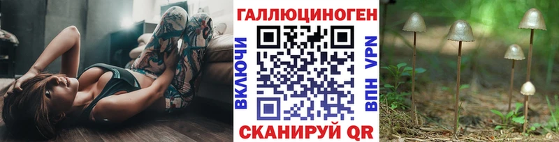 Купить  Кола  Псилоцибиновые грибы Cubensis 